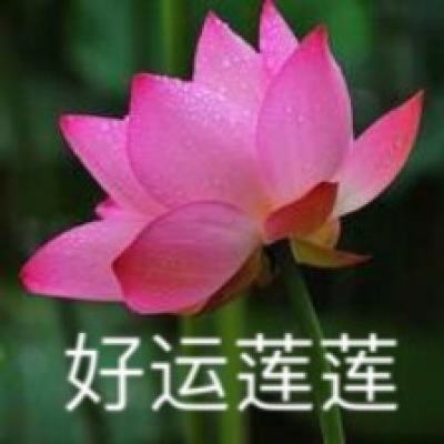 嘲王历阳不肯饮酒